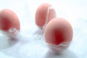 Lire la suite à propos de l’article Effet de la terre à diatomées sur la production et la qualité des œufs