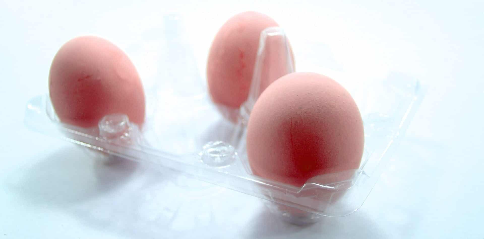 You are currently viewing Effet de la terre à diatomées sur la production et la qualité des œufs