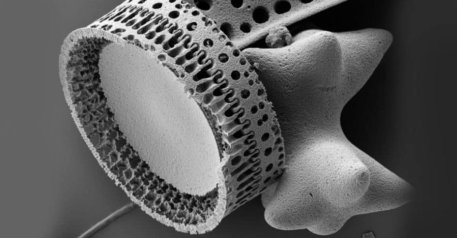 La terre de diatomées Diateor est utilisé dans l'industrie des matériaux de construction et comme absorbant
